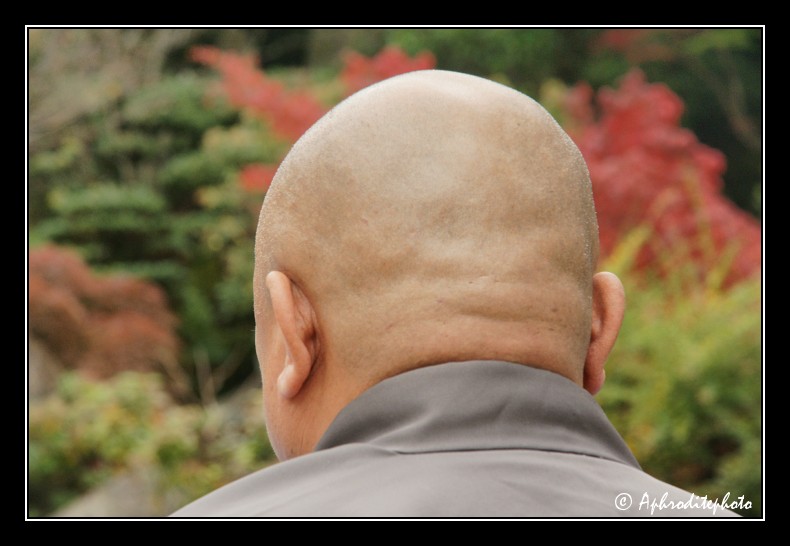 121 Japan portraits
